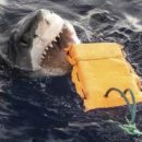 Pacific BUBBLES 이미지