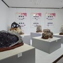 세계화석광물박물관 이미지