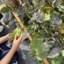 부산진여자중학교 이미지