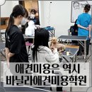 논산애견미용학원 이미지