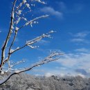 가족캠핑장 이미지