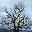 운봉초등학교 이미지