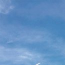 등대에너지 태양광발전소 이미지