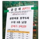 판떼기 이미지