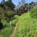 통일로240번길 이미지