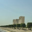 올라이드(All RlDE) | ღH07. 인생 최고의 호텔 카사르 알 사랍(Qasr Al Sarab Desert Resort by Anantara) 디럭스 테라스룸...