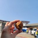 1박2일 충남여행 | 충남 가서 뭐하지,1박2일 딱 좋은 홍성 예산 서산 여행코스