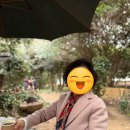 오동도호텔 | [효도여행] 엄마와 여수 여행 2일차 | 베네치아호텔 오동도카페 아르떼뮤지엄