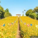 경산종합관광안내소 이미지