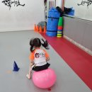 점프윙스 태권도, 줄넘기클럽 이미지