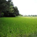 전대1리마을회관 이미지