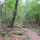 경동다방 이미지