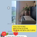 이화꽃방