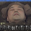 효소지음