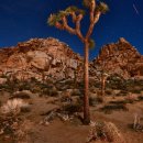 Move in sp 이미지