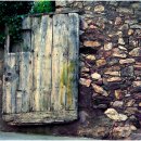 젊은날의수채화 이미지