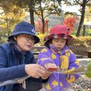 리나어린이집 이미지