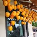 하동호호스테이 이미지