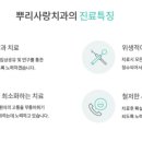 금촌뿌리사랑치과의원 네이버블로그