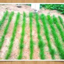 씨네트코리아 이미지