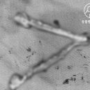 토닥토닥동물병원 이미지