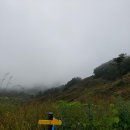 원주굽이길 4코스 꽃양귀비길 이미지