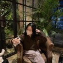 마논테 이미지