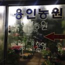 백운화원 이미지