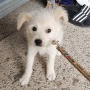 진북농협 하나로마트 이미지