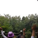 제주평화음악회 이미지