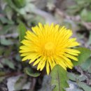 진도휴게소 이미지