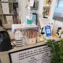 예스동물병원 | 실내 데이트, 아이랑 함께 가볼만 한 냥보고심쿵 수원 고양이 카페 후기