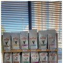 안심동물의료센터 이미지