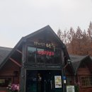 뿌리깊은나무 | [옥천 감성 카페] 아름다운 정원과 한옥의 조화! 뿌리깊은나무 솔직 후기