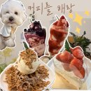 해랑 | 대전 원신흥동 애견동반카페인데 딸기 디저트도 맛집 커피를해랑 내돈내산 후기