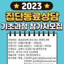 [모집] 2023년 집단동료상담 기초과정 참가자 모집합니다~ 이미지