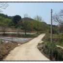 아영면 오산마을 이미지