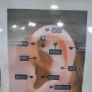 영피어싱 이미지