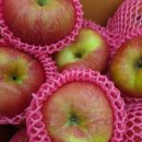 백설실업 이미지