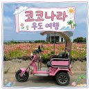 파란나라 | 우도 하우목동항 코코나라 신형오픈카 대여 후기