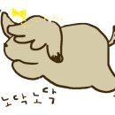 학교종이 댕댕댕 이미지