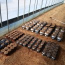 종대농장 이미지