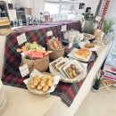 디어터틀(dear turtle) 이미지