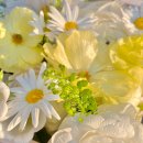 현대꽃상회 이미지