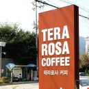 테라블룸 네이버블로그