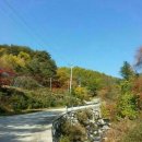 봉화민박 이미지