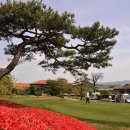 엘리체컨트리클럽 이미지