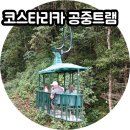 중남미 코스타리카 여행 푼타레나스 레인포레스트 공중트램 나무늘보