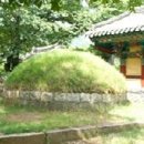 남해복어 이미지