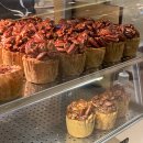 우리펫 강아지분양 성동구점 이미지